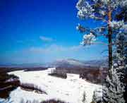 呼中天气预报60天