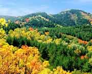 蒲县天气预报10天