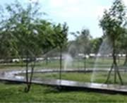 若羌天气预报7天