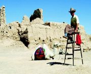 高台天气预报7天