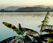 柘荣天气预报7天