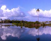 徐闻天气预报7天