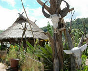 沧源天气预报15天